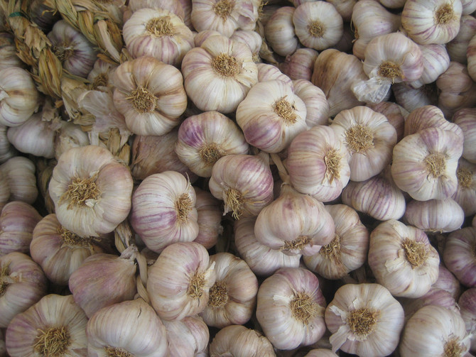 Garlic Flavor  (French)