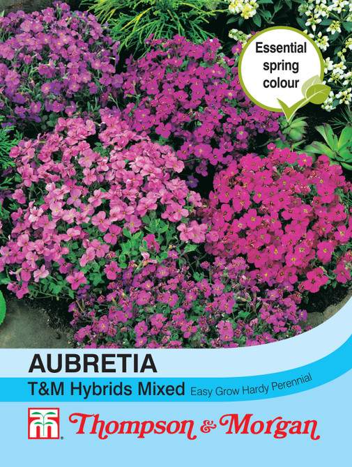 Aubrieta T&M Hybrids Mixed
