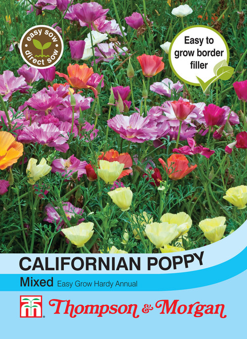 Californian Poppy Mixed