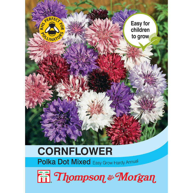 Cornflower Polka Dot Mixed 