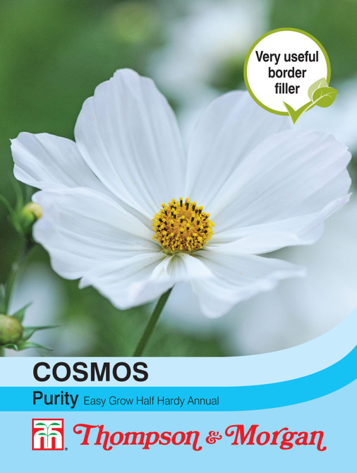 Cosmos Purity