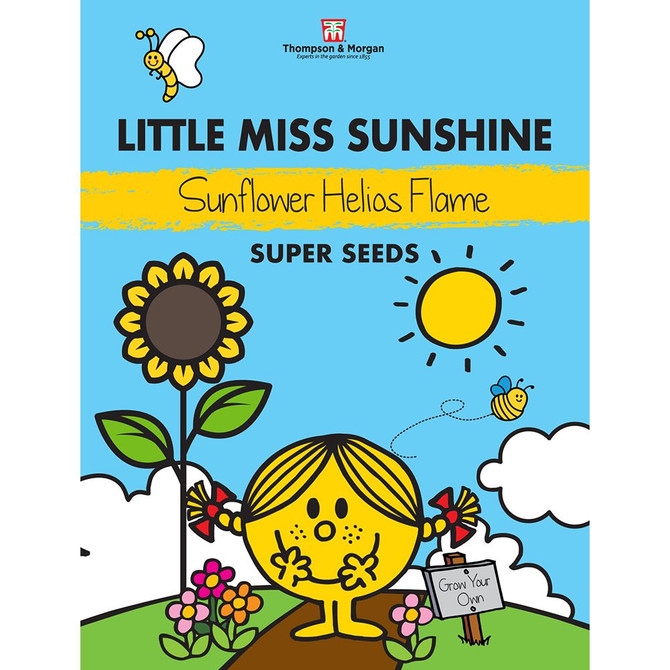 Sunflower Helios Flame (Mr Men)