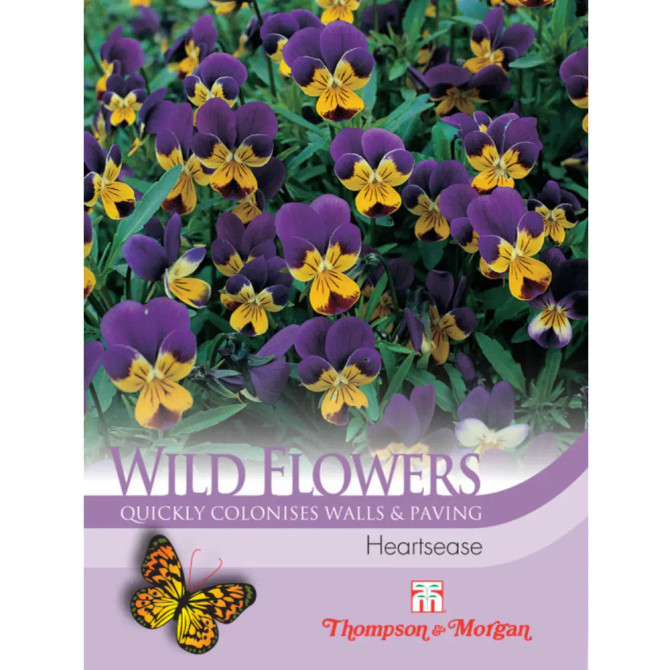 Wild Flower Heartsease