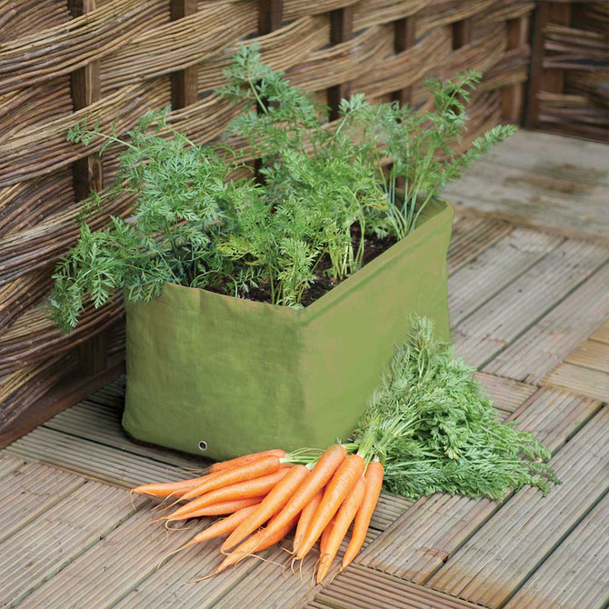 Carrot Patio Planter (pack of 2)