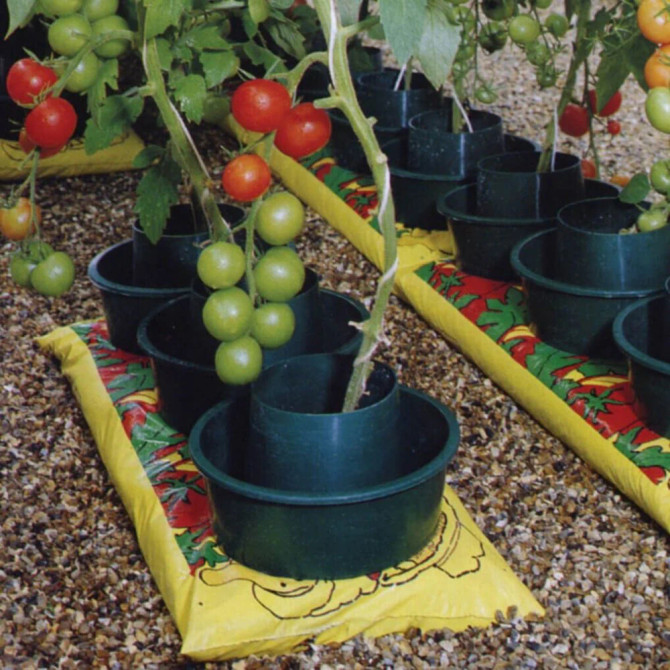 Grow Pots