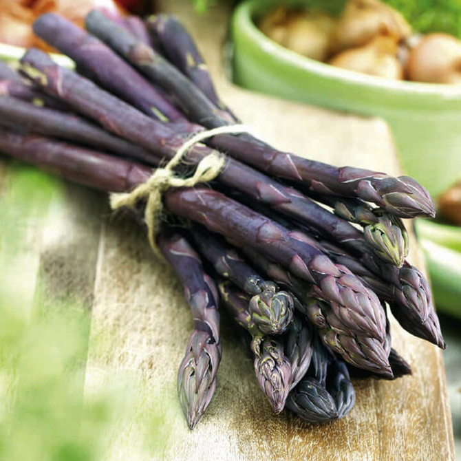 Asparagus Stewarts Purple