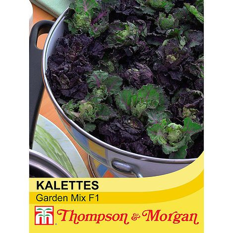 Kalettes® Garden Mix F1