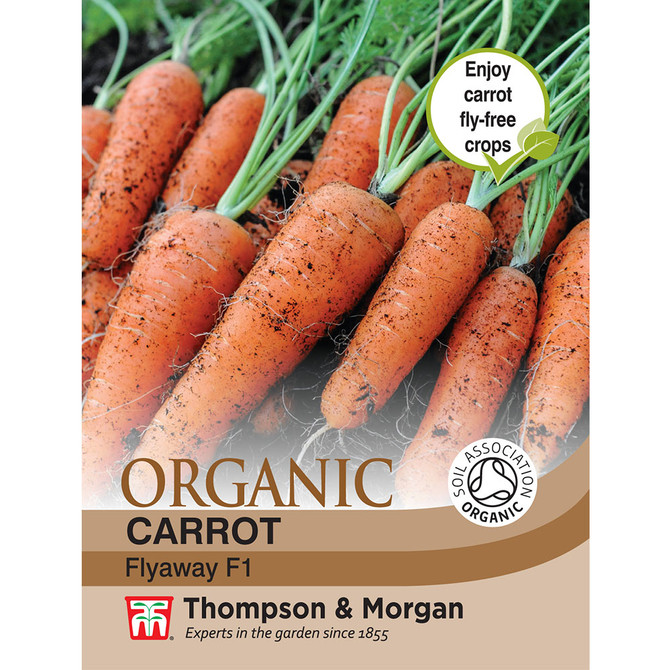 Carrot Flyaway (Organic)