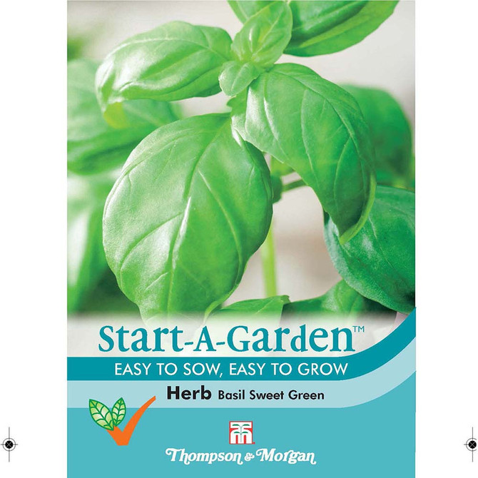 Herb Basil Sweet Green Start a garden range