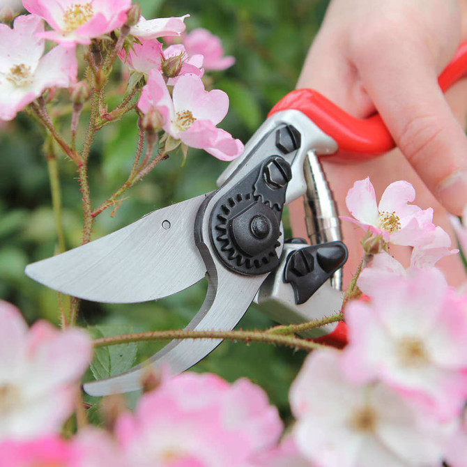 Expert Bypass Pruner (DP1030A)