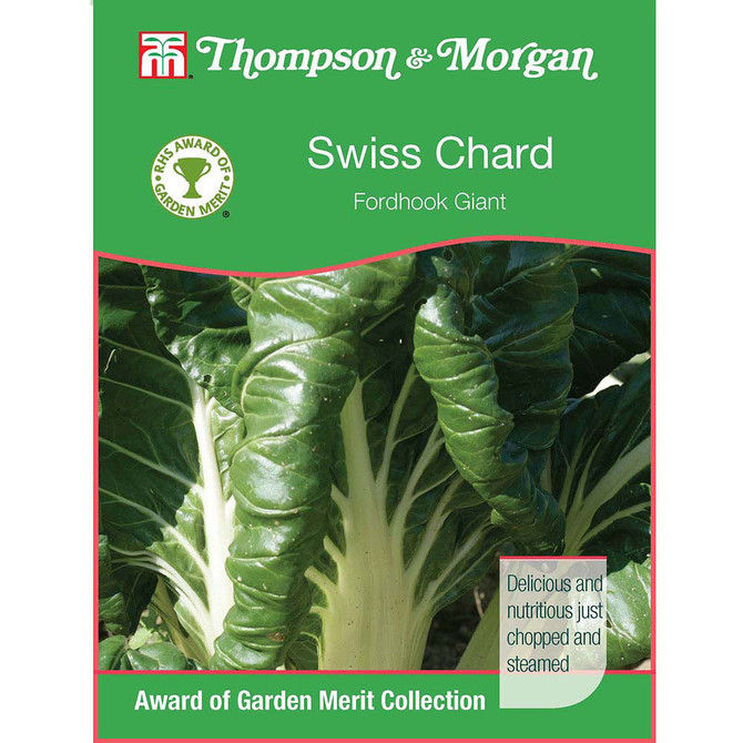 Swiss Chard Fordhook Giant