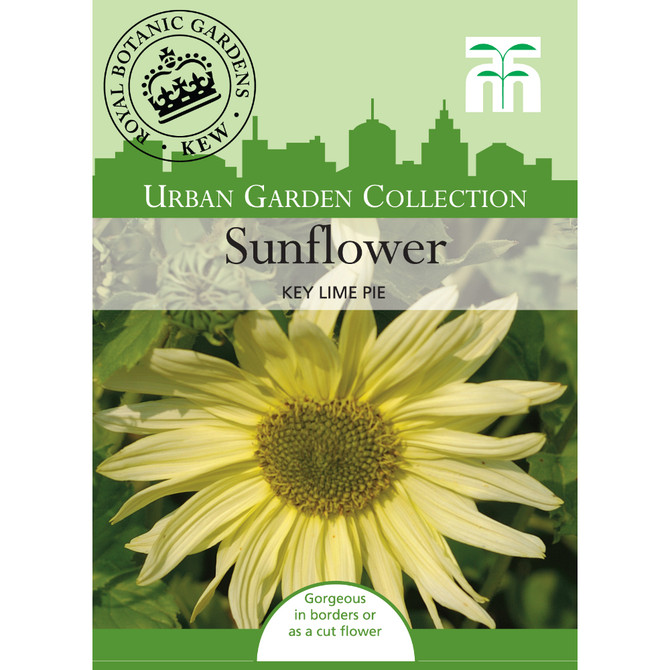 Sunflower Key Lime Pie