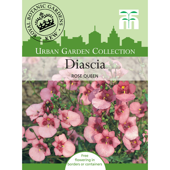 Diascia Rose Queen