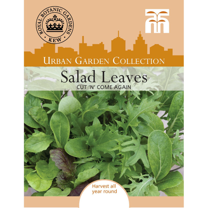 Salad Cut n Come Again