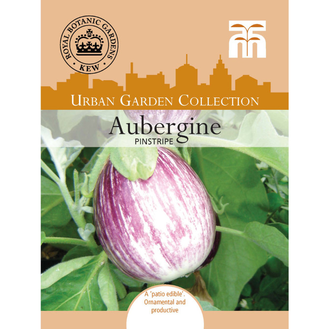 Aubergine Pinstripe