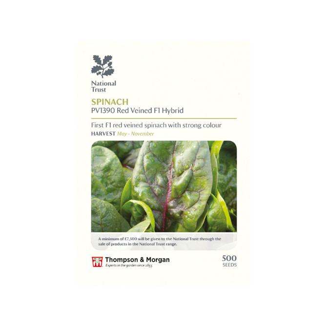 Spinach PV1390 Red Veined F1 Hybrid