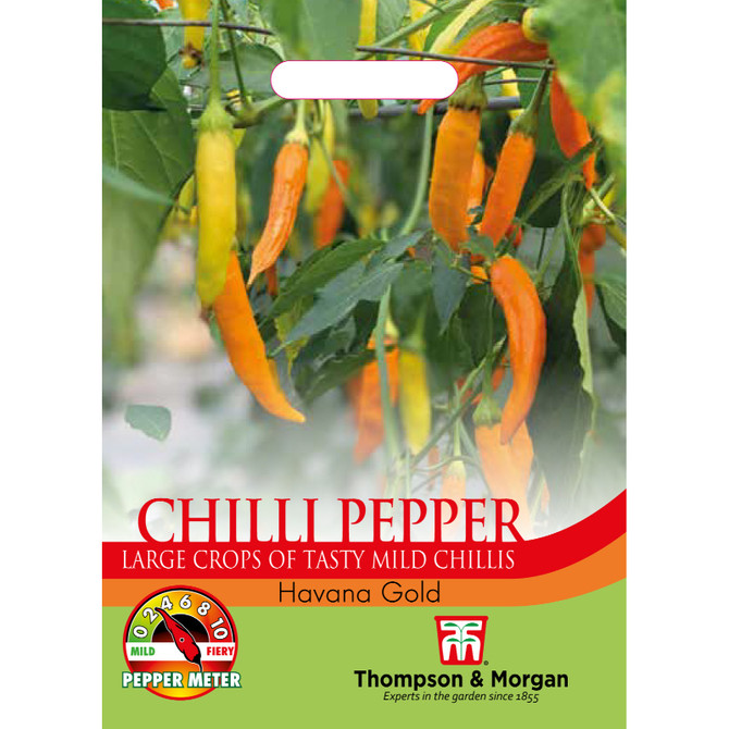 Pepper Chilli Havana Gold