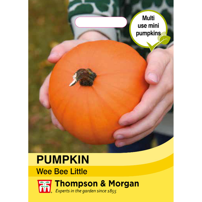 Pumpkin Wee Bee Little