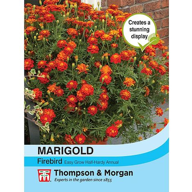 Marigold Firebird