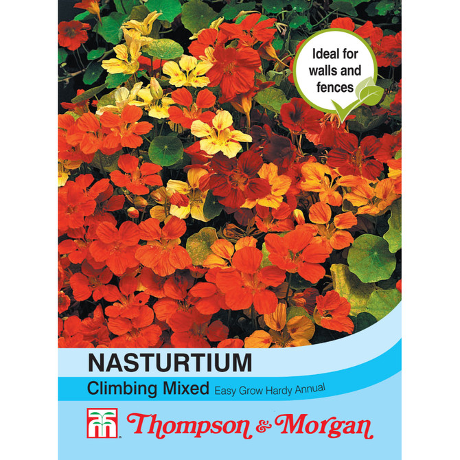 Nasturtium Climbing Mixed