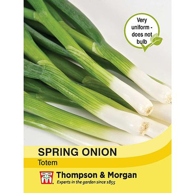 Spring Onion Totem