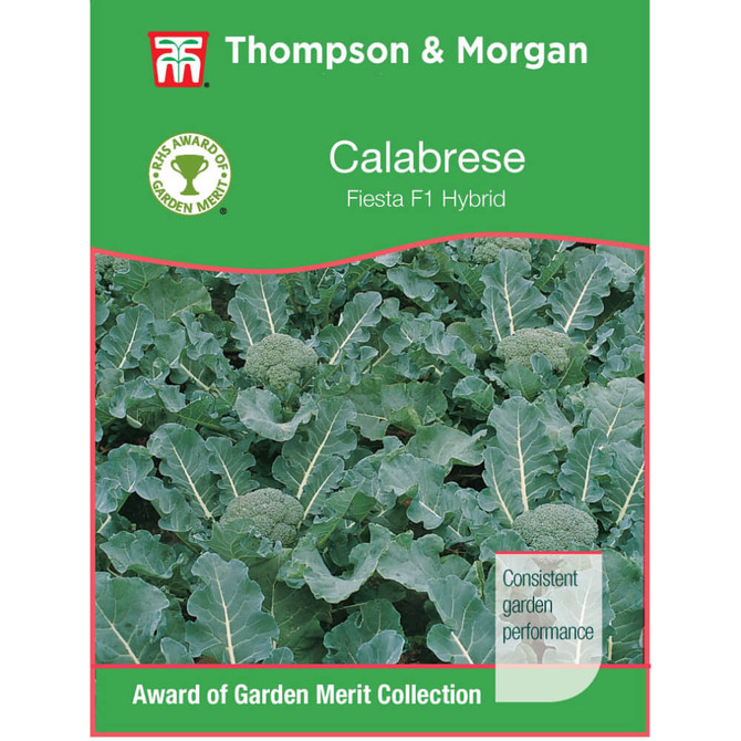 Broccoli 'Fiesta' F1 Hybrid (Calabrese) AGM Range