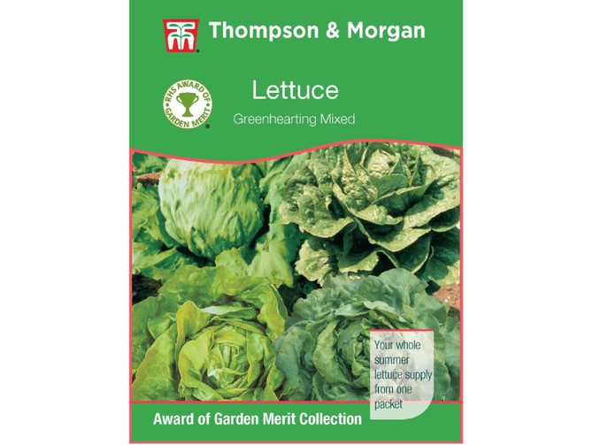 Lettuce Greenhearting Mixed AGM Range