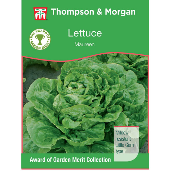 Lettuce 'Maureen' (Cos) AGM Range