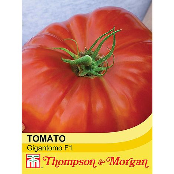 Tomato 'Gigantomo'® F1 Hybrid