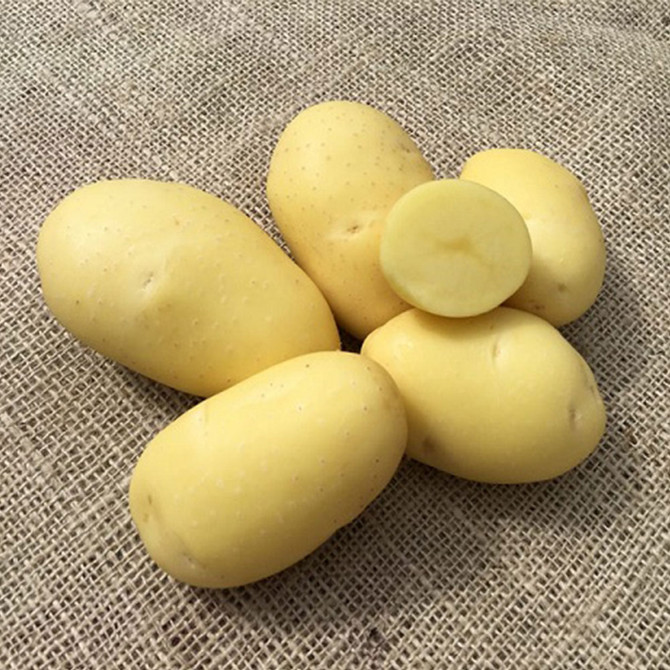 Christmas Potato Vitabella