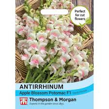 Antirrhinum Apple Blossom Potomac F1