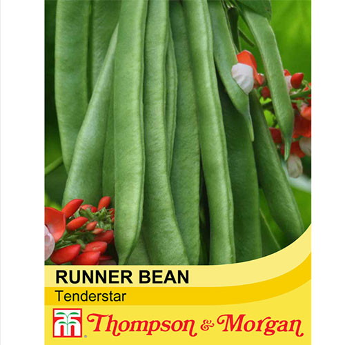Bean Runner Tenderstar