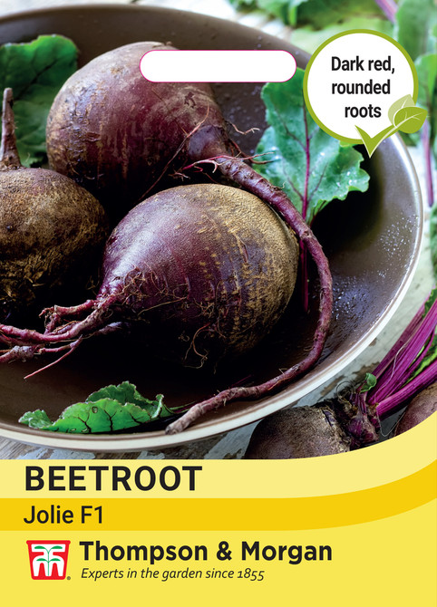 Beetroot Beta vulgaris Jolie F1