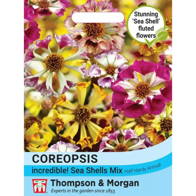 Coreopsis Incredible Sea Shells Mix
