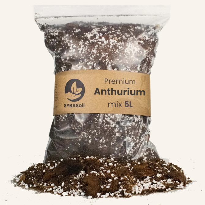 Anthurium Compost 5L