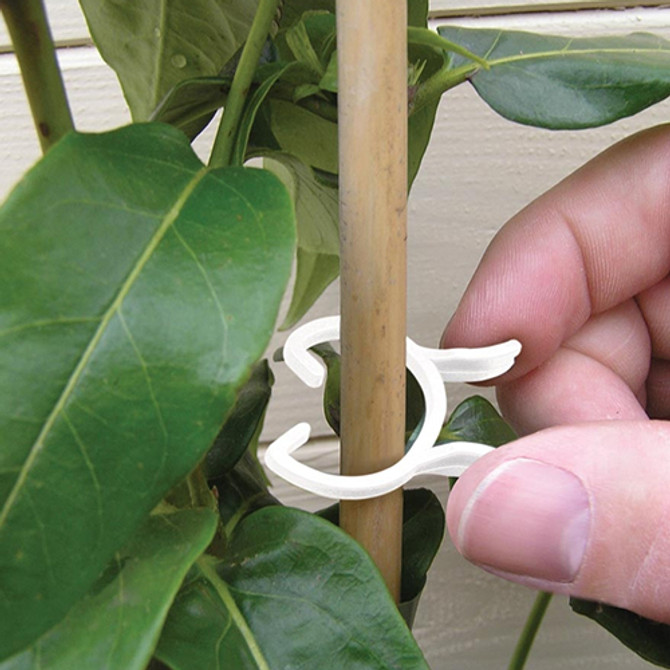 Bio-Based Plant Clips (25) (2 Sizes)