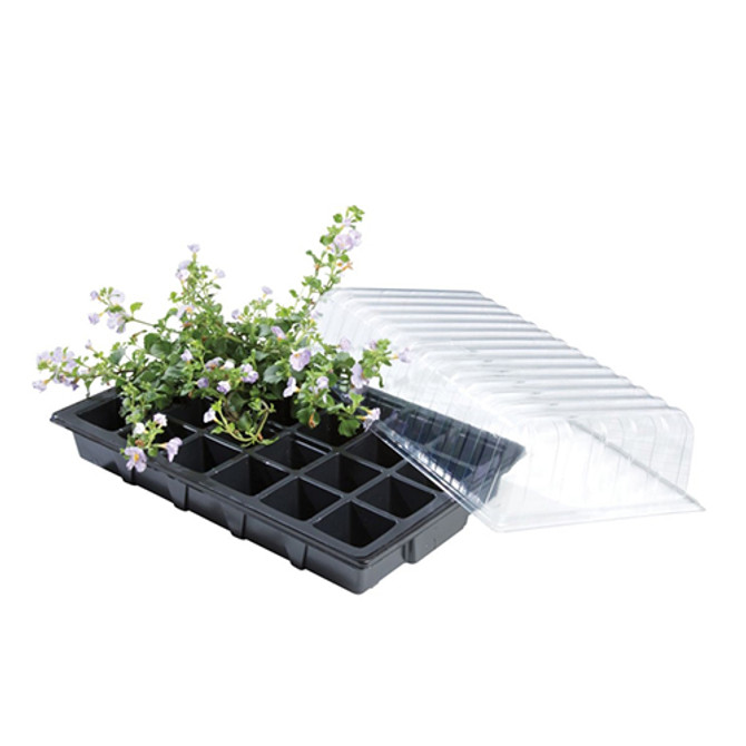 Standard Propagator Pack Of 3