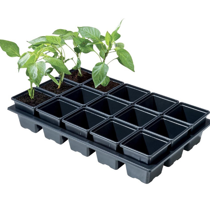 Professional Mini Vegetable Tray (15 x 7cm Sq Pots) (W0060