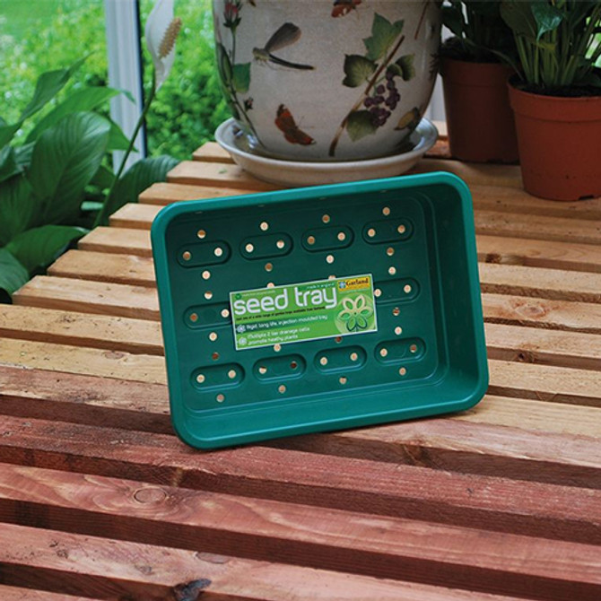 Small Seed Tray Green With Holes