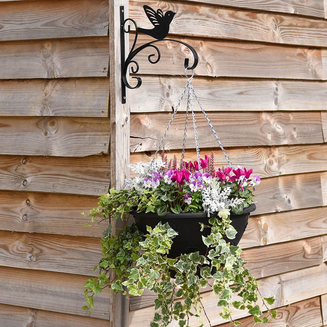 The Sensational Bloomaround Hanging Basket