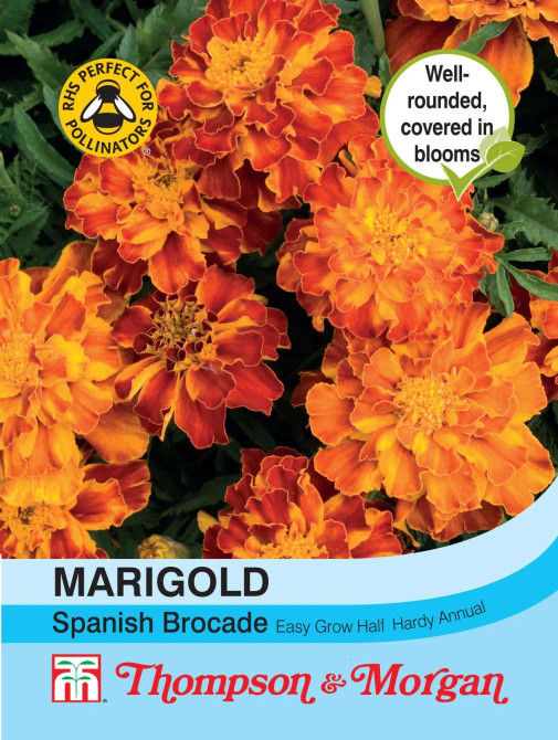 Marigold Spanish Brocade (French)