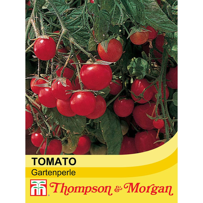 Tomato 'Gartenperle'