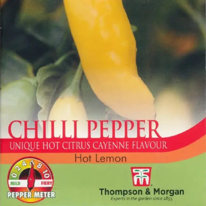 Chilli Pepper 'Hot Lemon'