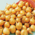 Shallot Golden Gourmet