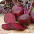 Beetroot Boltardy