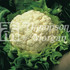 Cauliflower Walcheren Winter 5