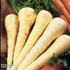 Parsnip Gladiator F1 Hybrid