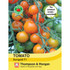 Tomato Sungold F1 Hybrid