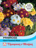 Primrose T&M Special Giant Flowered Mixed