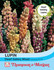 Lupin Dwarf Gallery Mixed